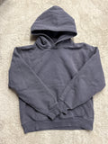 Aritzia hoodie