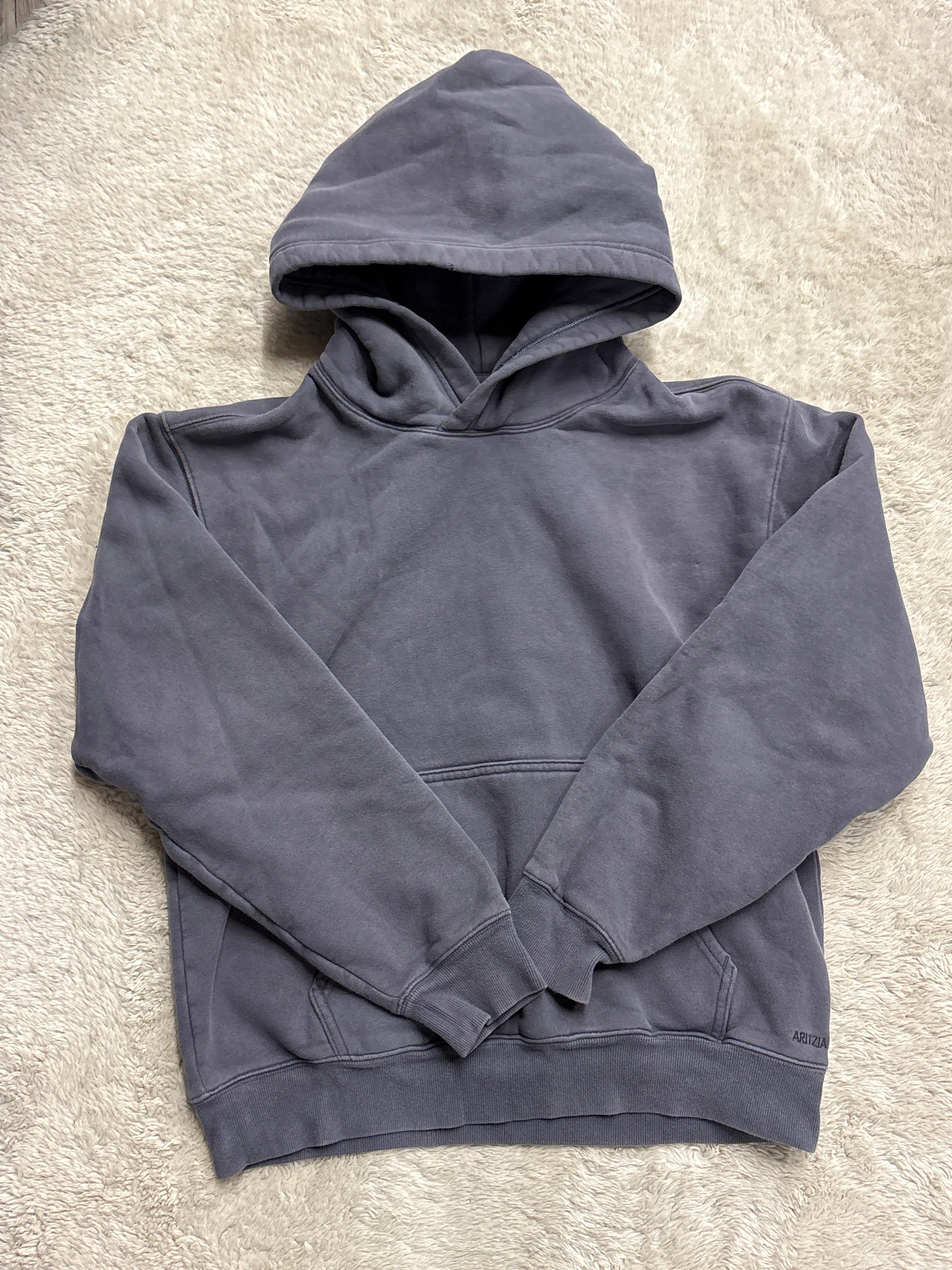 Aritzia hoodie