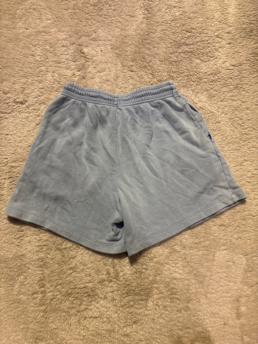 Uniqlo Shorts