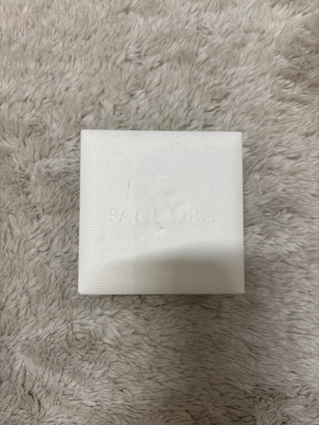 Pandora Bracelet