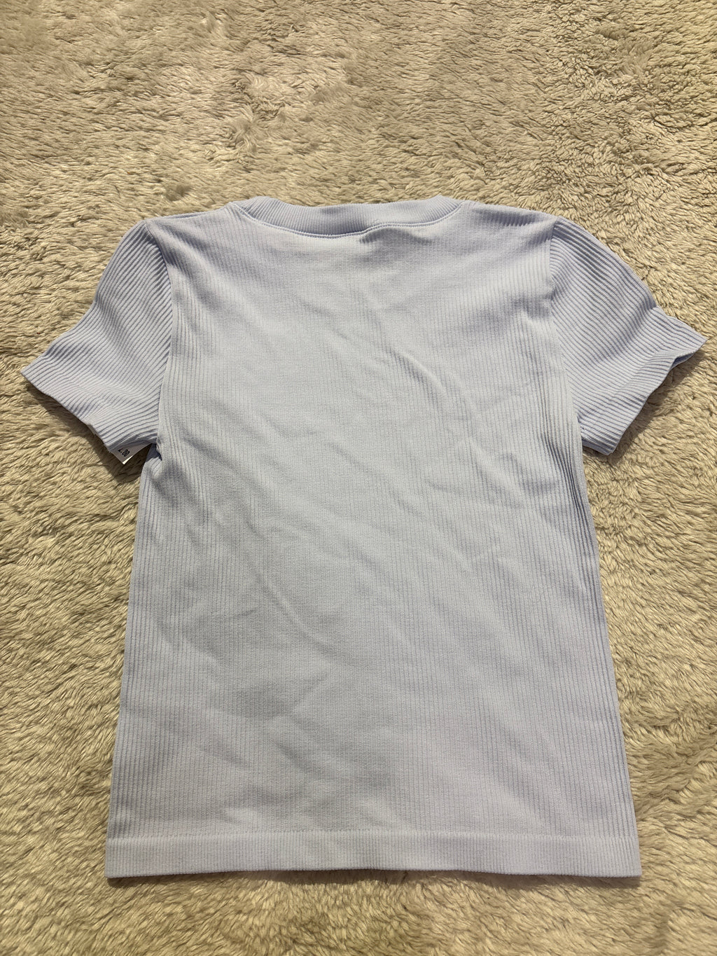 Aritzia Seamless T-Shirt