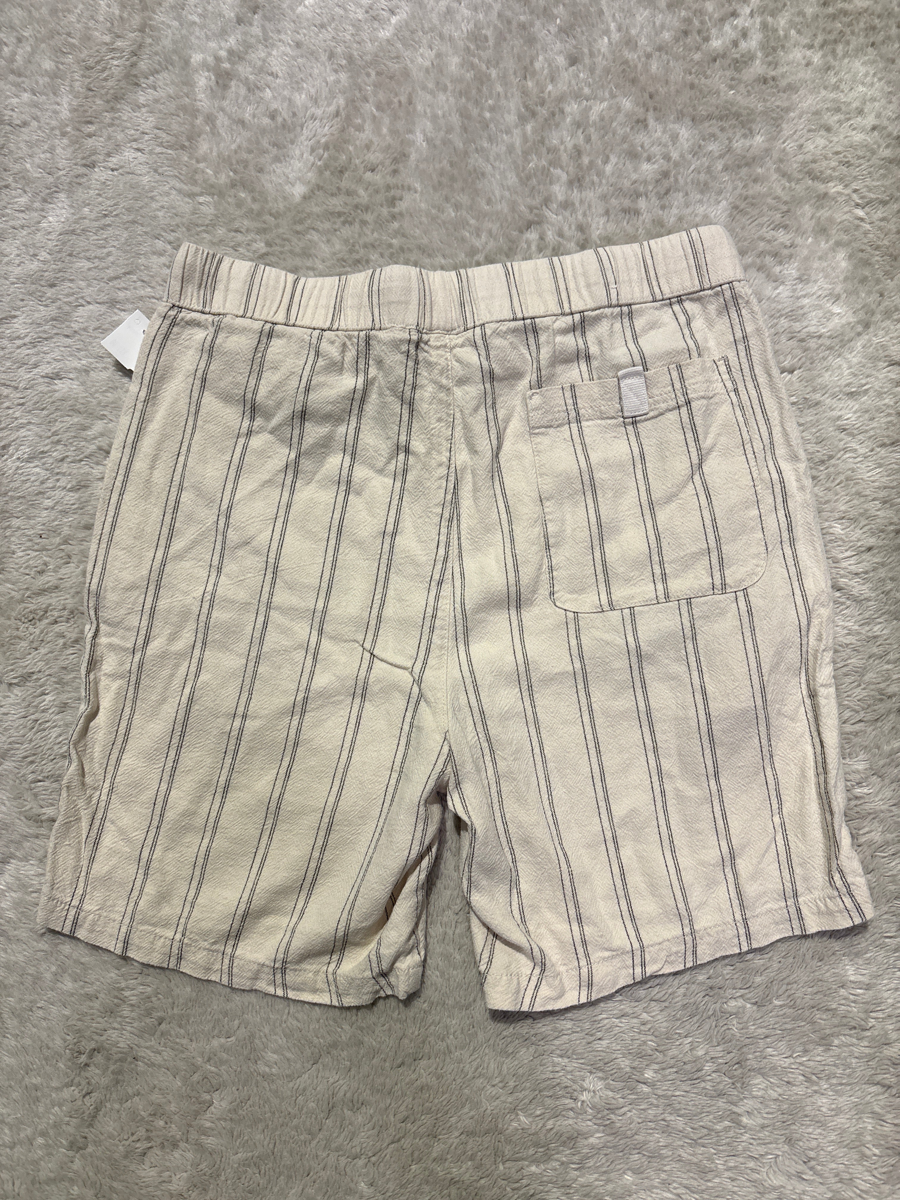 Zara Shorts