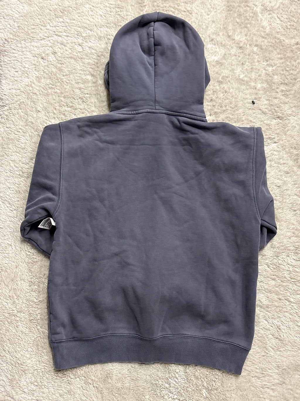 Aritzia hoodie
