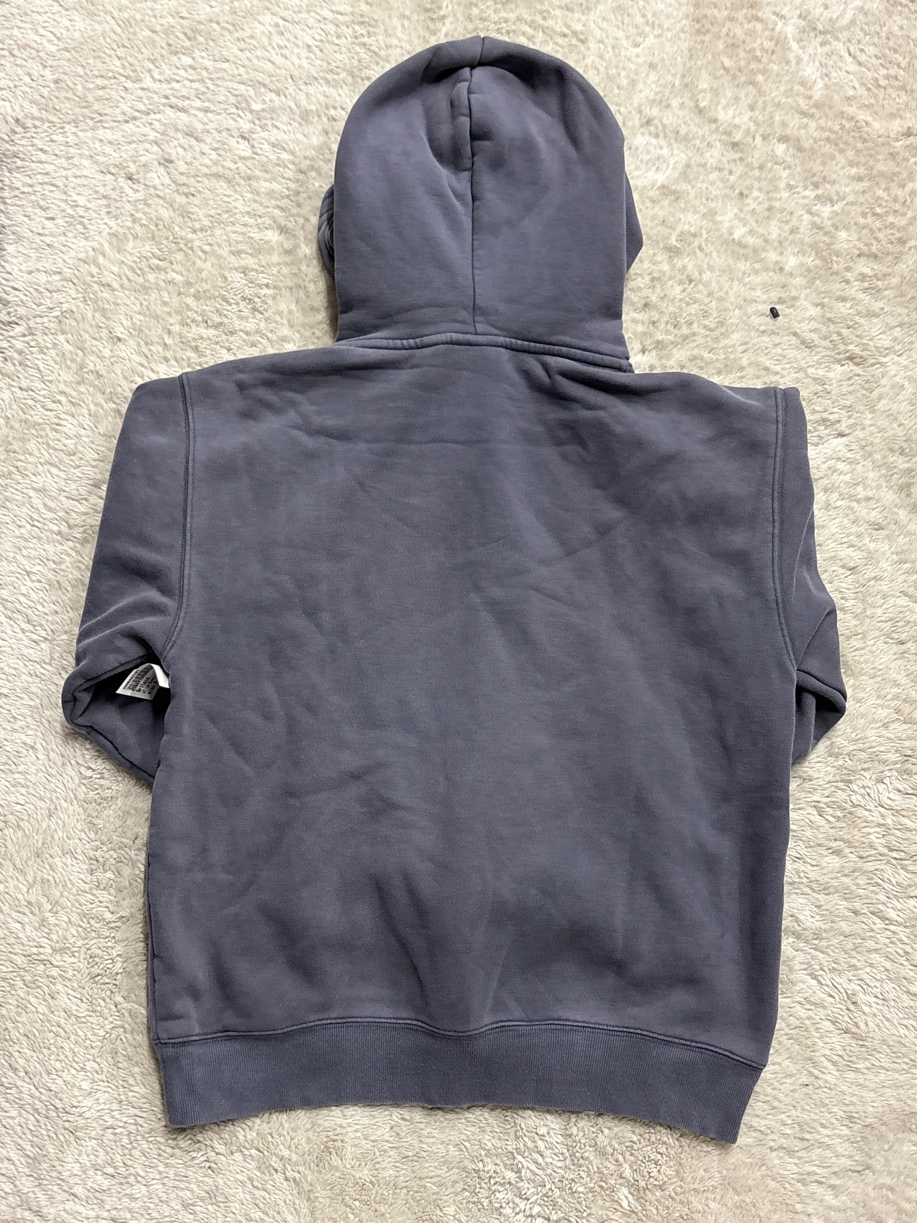Aritzia hoodie