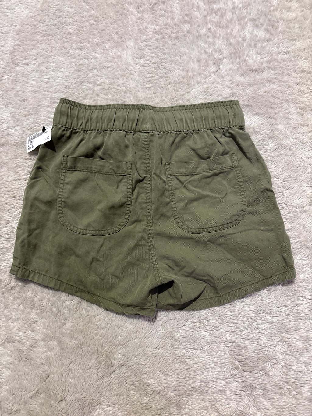 Aritzia Shorts