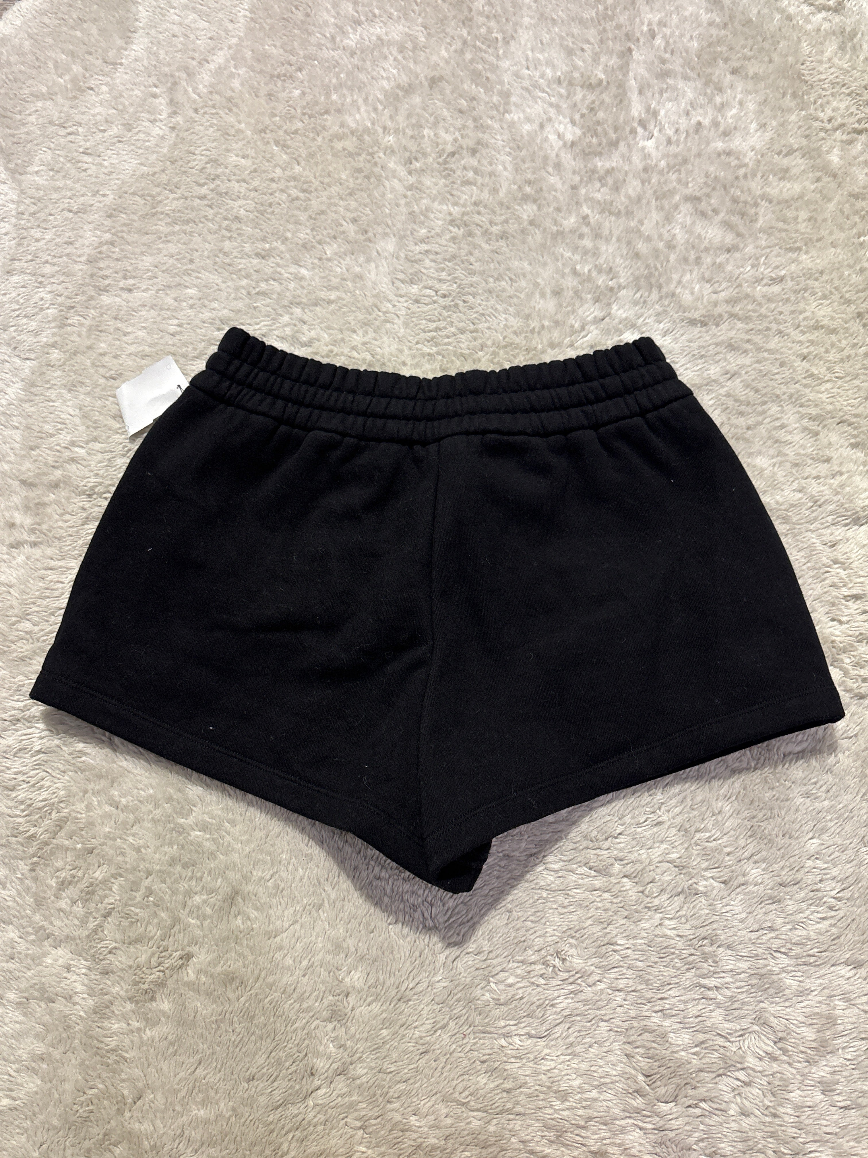 Aritzia Shorts