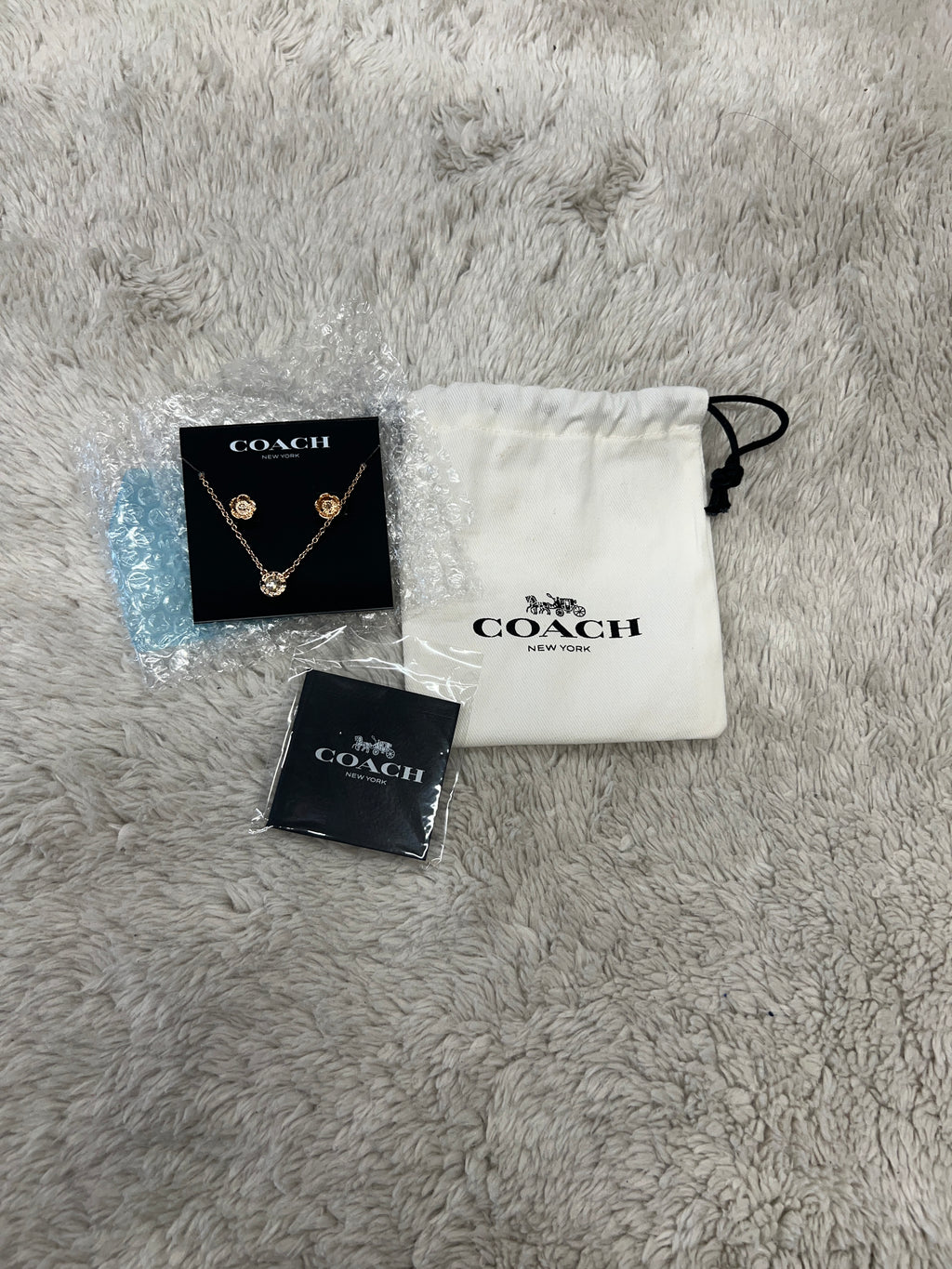 Coach Necklace and Earring Set