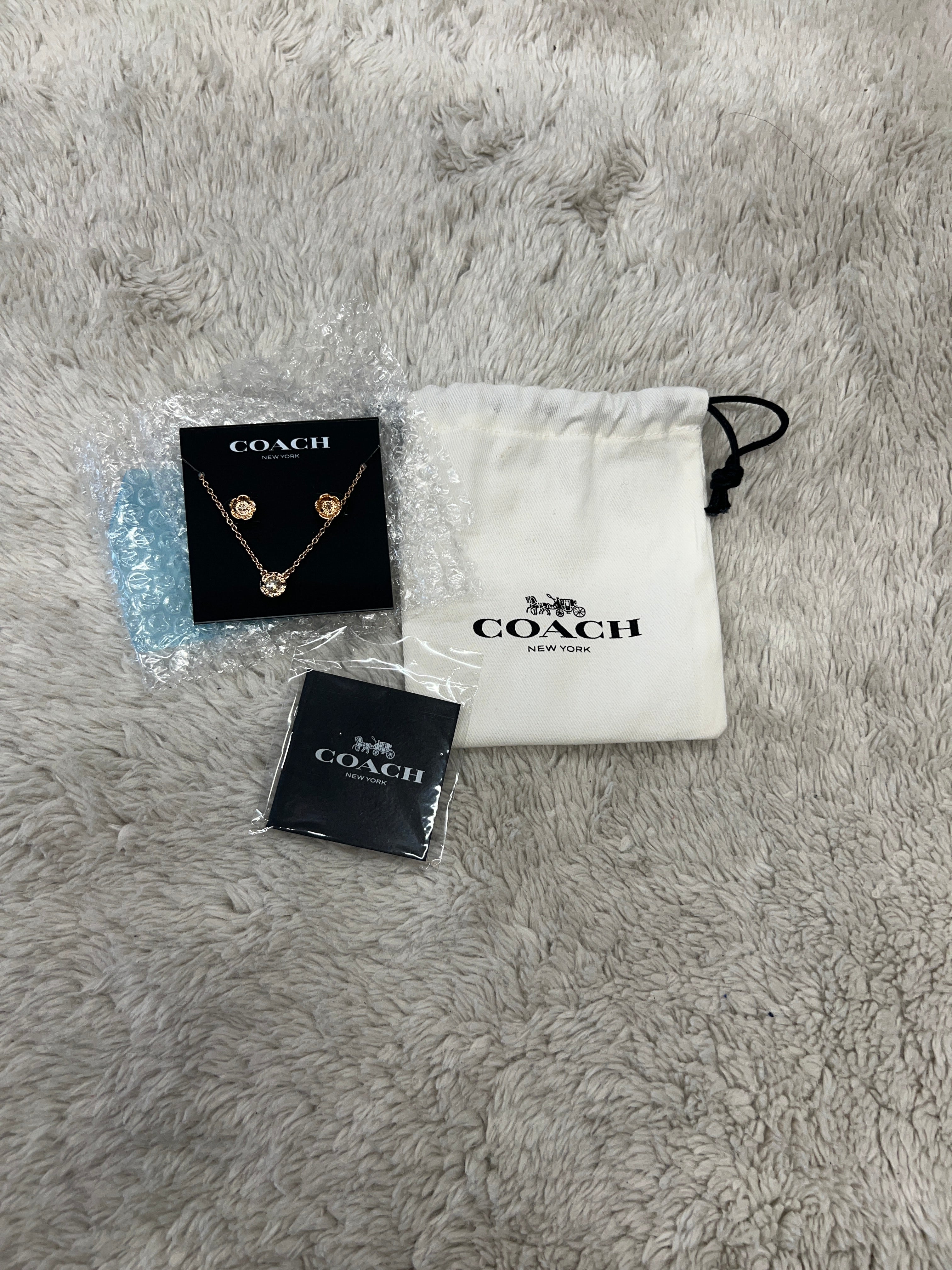 Coach Necklace and Earring Set