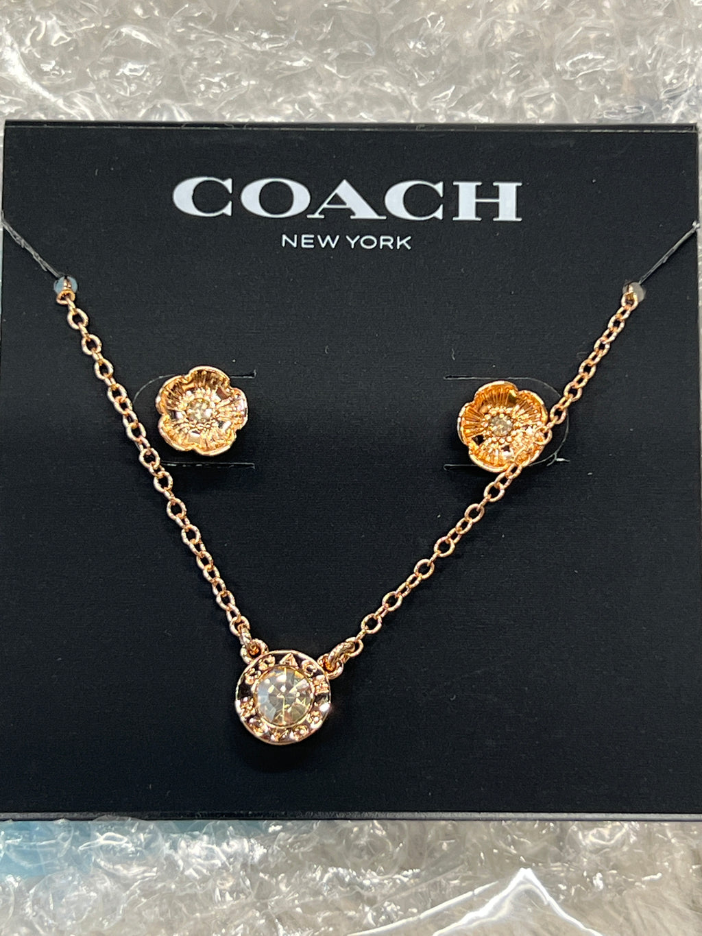 Coach Necklace and Earring Set